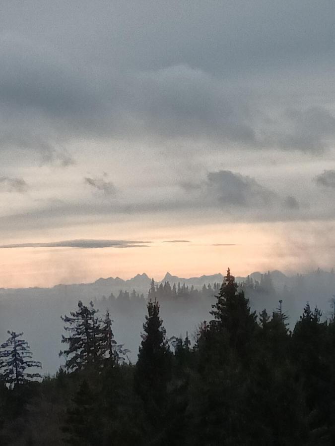 Terre De Sapins - Gites Nature Haut De Gamme Avec Sauna Au Coeur Du Lac Blanc Orbey Bagian luar foto
