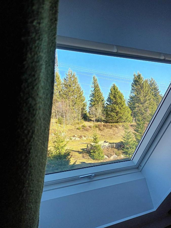 Terre De Sapins - Gites Nature Haut De Gamme Avec Sauna Au Coeur Du Lac Blanc Orbey Bagian luar foto