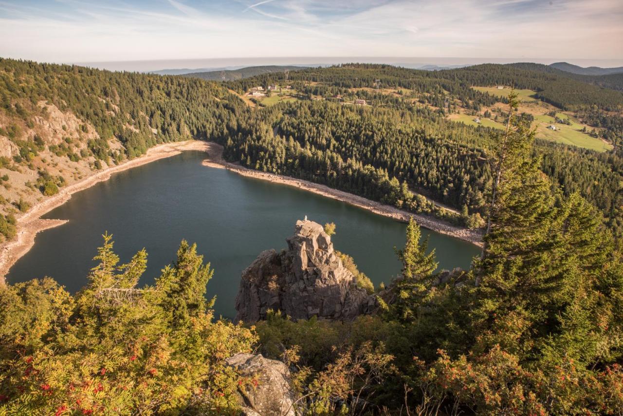 Terre De Sapins - Gites Nature Haut De Gamme Avec Sauna Au Coeur Du Lac Blanc Orbey Bagian luar foto
